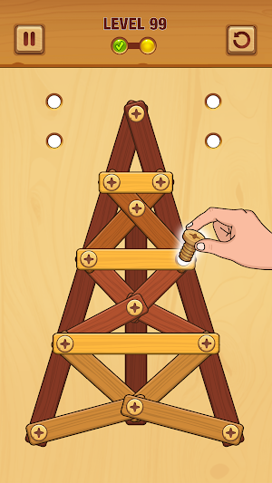 Wood Nuts: Nuts & Bolts Screenshot 1