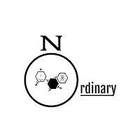 No Ordinary PT