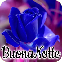 Buonanotte
