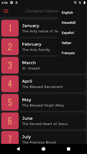 Liturgical Calendar 2025 Screenshot 2