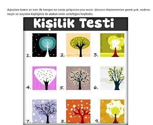 Kişilik Testi 2 Screenshot 1