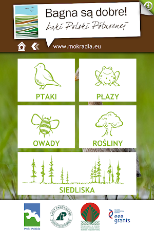 Ptaki i przyroda mokradeł Screenshot 0