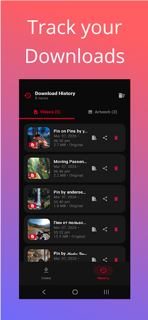 Pinterest Video Downloader Screenshot 1