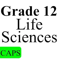 Grade12 Life Sciences 2024