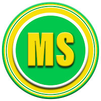 MS Tunnel