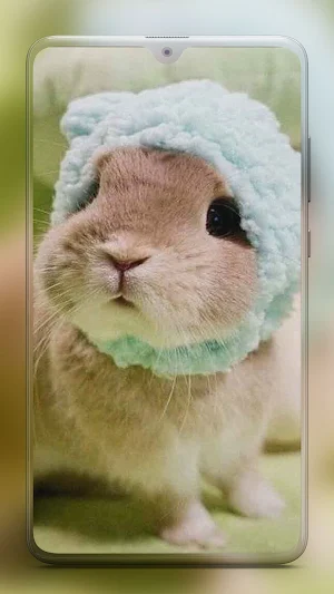 Rabbit Wallpaper HD Screenshot 2