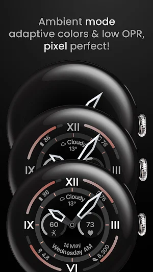 Explorer Watch Face Screenshot 3