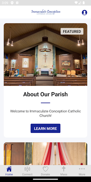 Immaculate Conception Jackson Screenshot 0