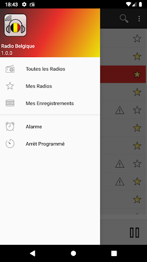 RADIO BELGIQUE : Radios belges en direct Screenshot 0