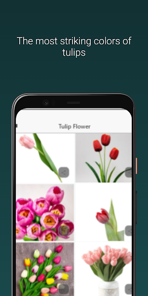 Mother's Day Flowers Screenshot 2