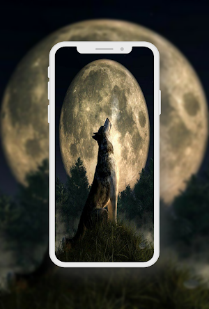 Wolf Wallpaper Screenshot 2
