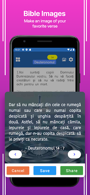 Romanian English Bible Screenshot 2