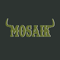 Mosaik Döner & Pizzahaus