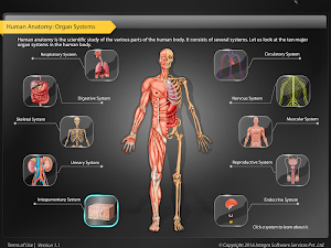 HumanAnatomy-Integumentary Screenshot 0