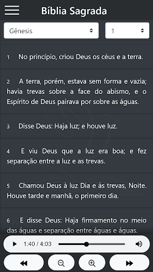 Bíblia Sagrada Screenshot 3