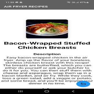 Air Fryer Recipes Screenshot 1