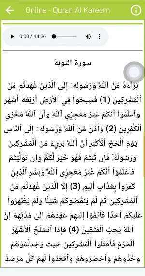 Khalid Aljalil Quran Read & Lt Screenshot 3