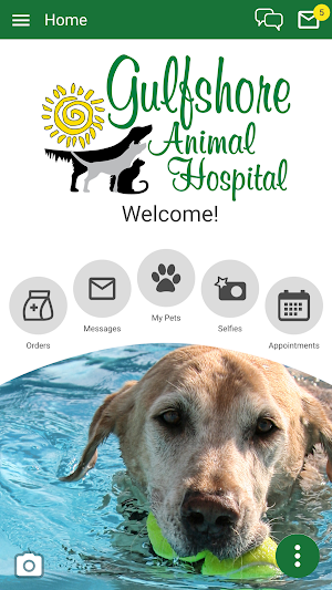 Gulfshore Animal Hospital Screenshot 0