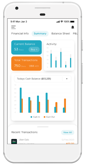 The Accounter Screenshot 0