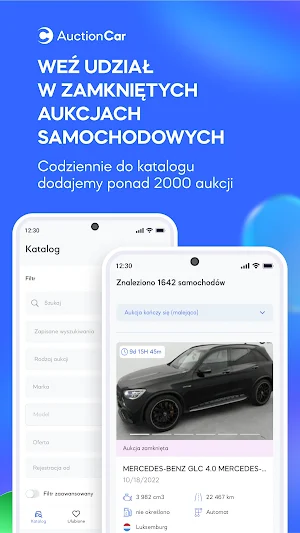 AuctionCar Screenshot 0