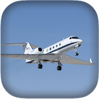 Toy Airplane Flight Simulator