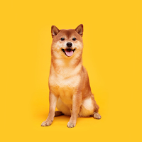 Dog Paint : Color by Number