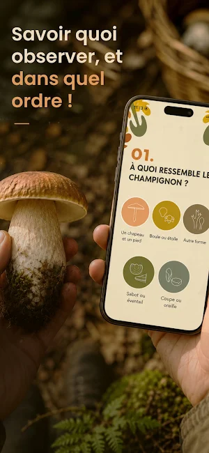 Champignons: Identifier & Spot Screenshot 1