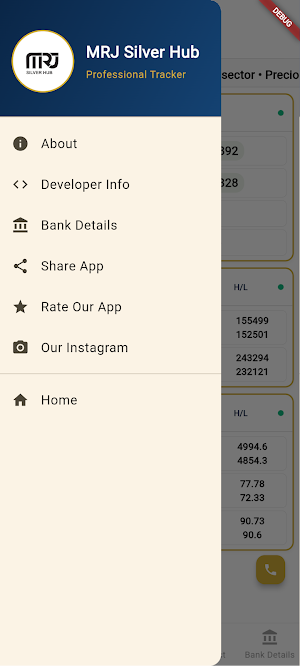 MRJ Silver Hub Screenshot 3