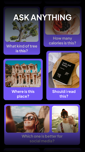 PhotoAsk - AI Photo Chatbot Screenshot 3