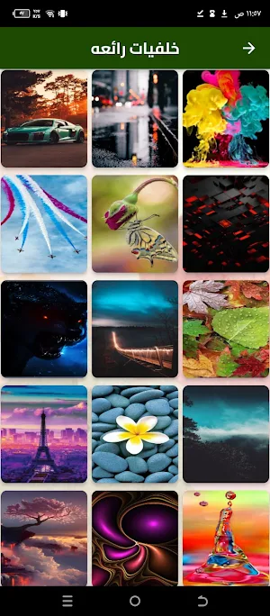 خلفيات خضراء Screenshot 2
