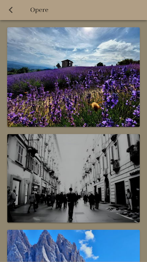 Stefania Fotia Screenshot 3