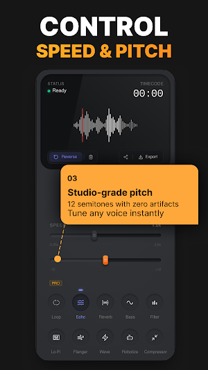 Reverse Audio: Voice Effects Screenshot 3