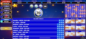 Bingo Super Prêmios Screenshot 1