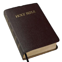 Holy Bible (NIV)
