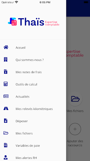 Thaïs Expertise Comptable Screenshot 1