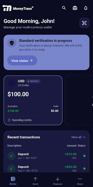 MoneyTrans Screenshot 0