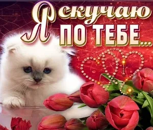Любимой Девушке Открытки Screenshot 2