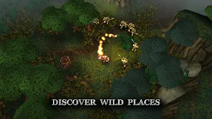 Runic Rampage - Hack and Slash RPG Screenshot 3