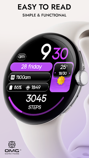 OMG 480 - Digital Dashboard Screenshot 1