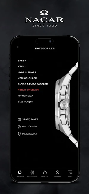 NACAR Screenshot 2