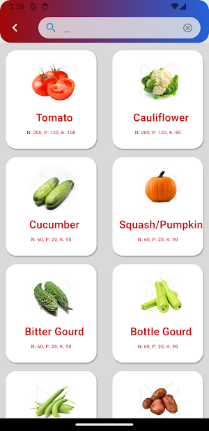 DevchuliApp Screenshot 1