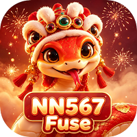 NN567Fuse