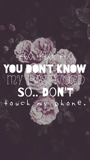 dont touch my phone wallpapers Screenshot 0