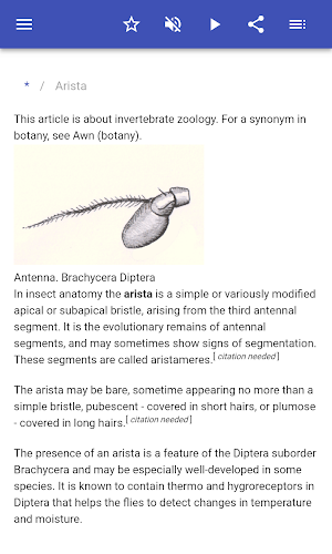 Anatomy of arthropods Screenshot 1