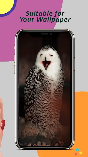 Owl Wallpaper Screenshot 3