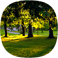 Public Park Sounds