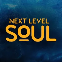 Next Level Soul