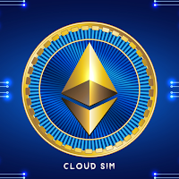 Ethereum Miner Cloud Sim