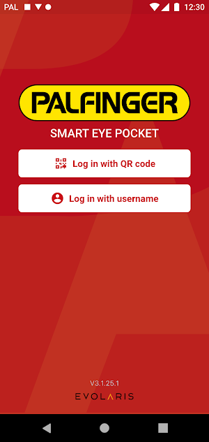 PALFINGER Smart Eye Screenshot 2