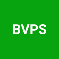BVPS Calculator